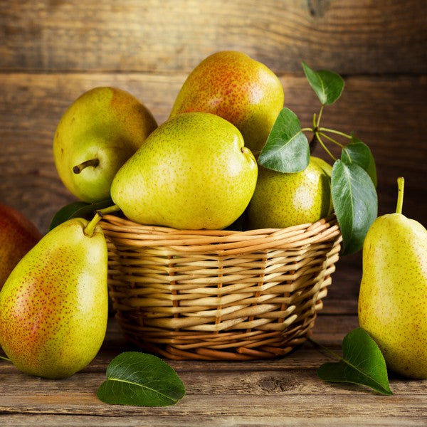 Apples Product